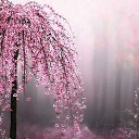 ���� �����, ������������ - ��������� 3 ������ 2015 � ������ ������ ��������