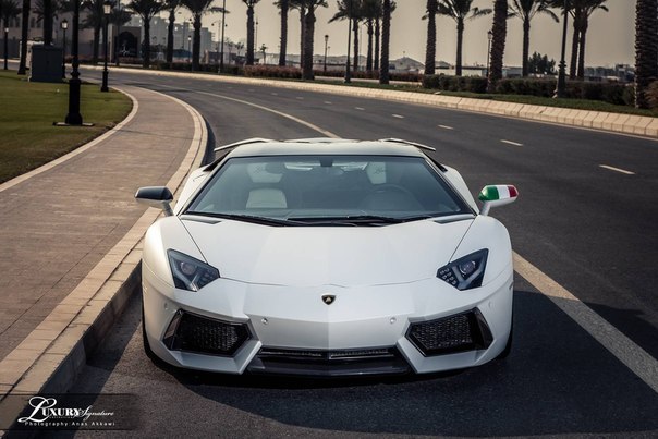 Lamborghini Aventador in Qatar. - 7