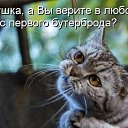 ���� �����, ������, 66 ��� - ��������� 11 ������ 2015 � ������ ���� ����������