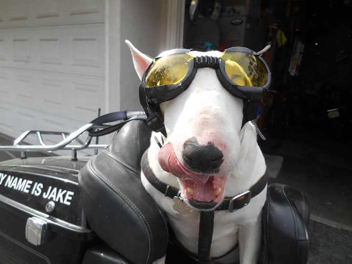 Впереди выходные