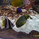 ���� Eugene, �������, 43 ���� - ��������� 18 ������� 2014 � ������ ����������� ��������