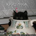 ���� ����, ����, 47 ��� - ��������� 6 ������� 2015 � ������ ������ ��������