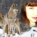 ���� ������, ���������� - ��������� 26 ������ 2015