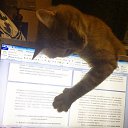 ���� ��������, �������������, 55 ��� - ��������� 14 ������ 2015 � ������ �����, ����...�