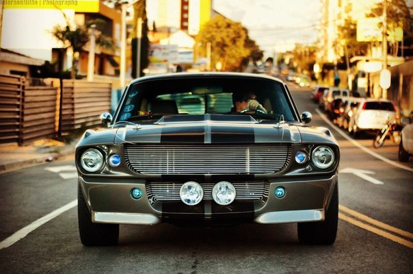 Shelby and Ford Mustang - 6