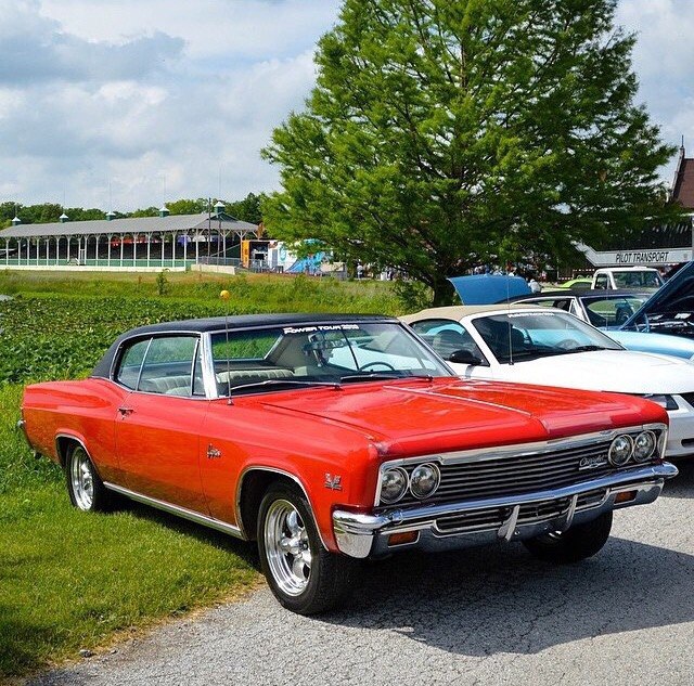 ������������ �������� - 6