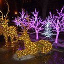 ���� ������, ������������, 72 ���� - ��������� 27 ������ 2015 � ������ ������� ���������߻