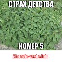 ����� ������� ����� 5 �� ������� �����������