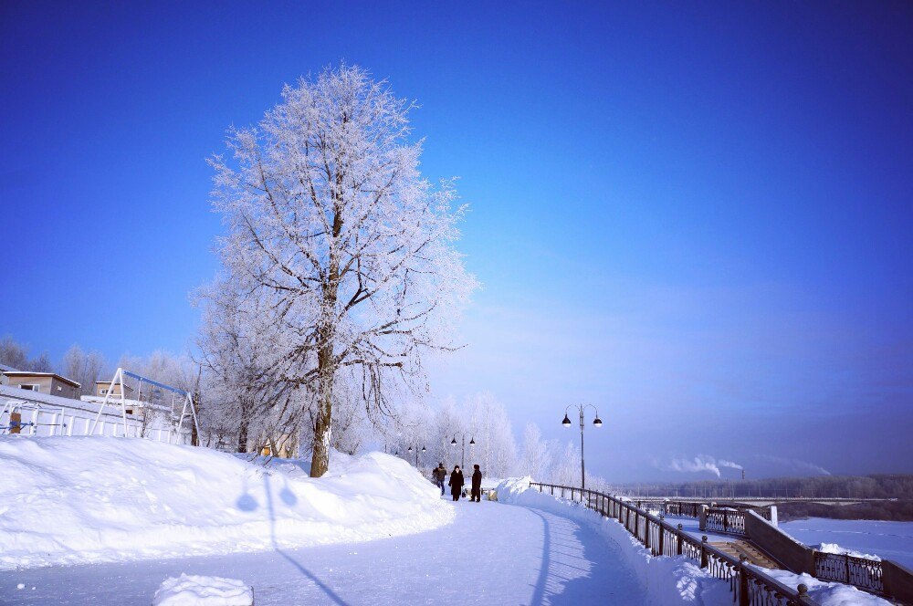 Родная 12. Лиски парк зима фото.