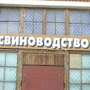 ���� �������, ������, 49 ��� - ��������� 10 ������� 2015 � ������ ���� ����������