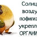 ���� Luchik, ����������� - ��������� 6 ������ 2015 � ������ ������ ��������