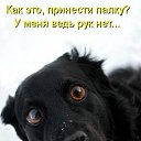 ���� �������, ���������� - ��������� 10 ����� 2015 � ������ ������