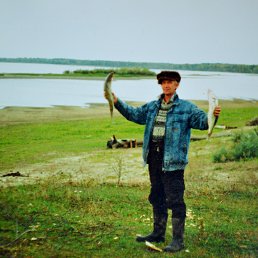 � ����� ���������, �����������, 65 ���