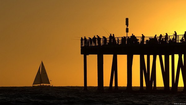 Ваша жизнь именно здесь, пока Вы не поймайте свою жизнь, хотя бы на крючек! Вы будете стадом которое ...