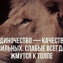 ���� ������, ������������, 49 ��� - ��������� 21 ������� 2015 � ������ ������ ��������