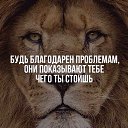 ���� ������, ���������, 59 ��� - ��������� 15 ������ 2015 � ������ ������ ��������