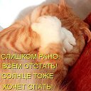 ���� �����, ��������� - ��������� 16 ������ 2015 � ������ ������ ��������