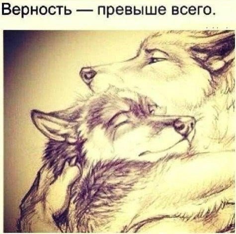 &bull;&bull;&bull;����� �����&bull;&bull;&bull; - 14 ������� 2015 � 22:56