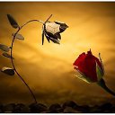 ���� ����, �����������, 64 ���� - ��������� 1 ������� 2015 � ������ ������ ��������