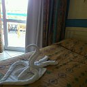 ���� ���������, ���������� �����, 55 ��� - ��������� 1 ������ 2015 � ������ ����� 2015�