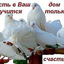 ���� ������, ������ �����, 62 ���� - ��������� 18 ������ 2015 � ������ ������ ��������