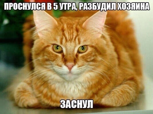       - 23  2015  23:34