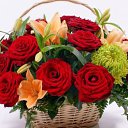 ���� ���������, ������ ��������, 71 ��� - ��������� 31 ������� 2014 � ������ ������ ��������