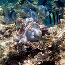 ���� Df, ������ - ��������� 30 ������ 2015 � ������ �������� ����