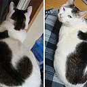 ���� ������, ���������, 45 ��� - ��������� 22 ������ 2015 � ������ ������ ��������