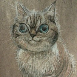 ����, ��������, 32 ����