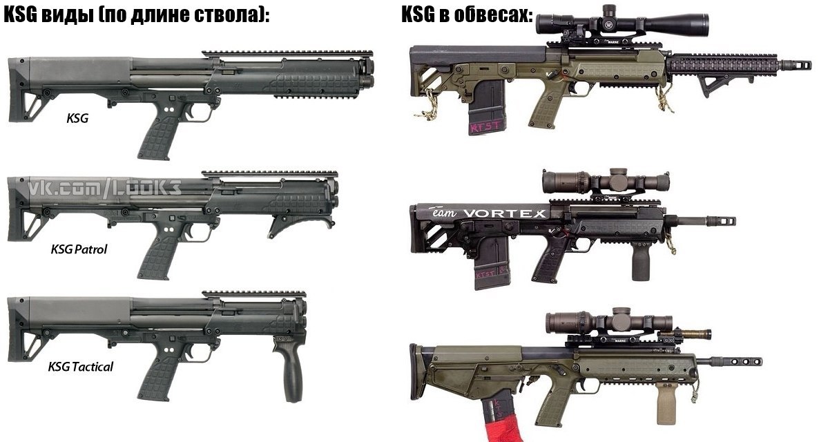 Kel-Tec KSG. https://fotostrana.ru/away?to=/sl/Cz6