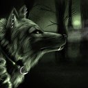 ���� �����, �����, 34 ���� - ��������� 31 ����� 2015 � ������ ������ ��������