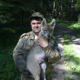 ���� �������, ������, 64 ���� - ��������� 6 ������ 2015