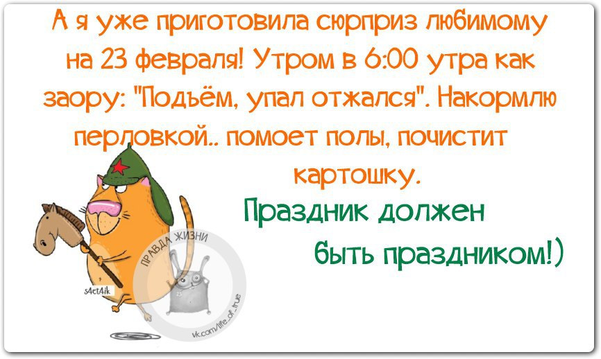 Хочу упасть. Доброе утро 23 февраля. Доброе праздничное утро 23 февраля. 23 Февраля правда жизни. С добрым праздничным утром 23 февраля.