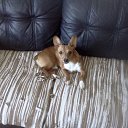 ���� Serj, �����, 52 ���� - ��������� 27 ������� 2014 � ������ ���� ����������