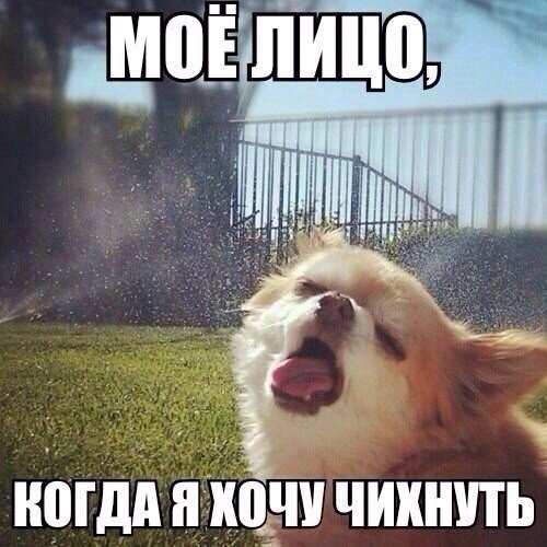  - 16  2015  13:04