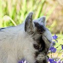 ���� �����, ��������� - ��������� 19 ������� 2015 � ������ ������ ��������