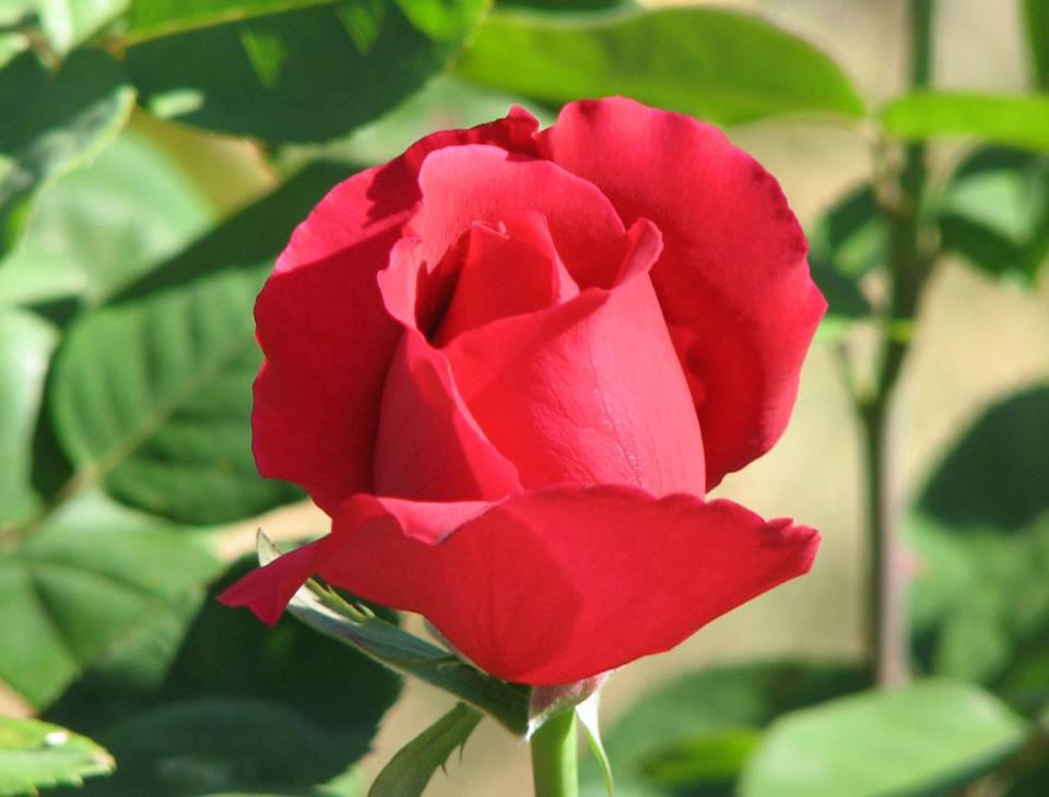  - 22  2015  09:25 - 4