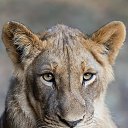 ���� Svetlana, ������ - ��������� 20 ������ 2015 � ������ ���� ����������