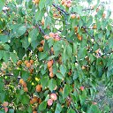 ���� ������� - �� ��������!, �������� - ��������� 19 ������ 2015 � ������ �����������