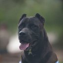 ���� �������, ���� - ��������� 6 ������� 2015 � ������ ���� ����������