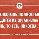 ���� Stels, ������, 66 ��� - ��������� 30 ������� 2014 � ������ ������ ��������