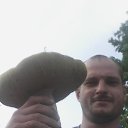 ���� ��������� �����������, �����-���������, 44 ���� - ��������� 29 ����� 2015 � ������ ���� ����������