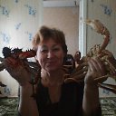 ���������� ����... �� ������� ���� ����������