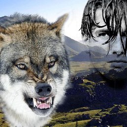 ���� ������, ������, 46 ��� - ��������� 13 ����� 2015