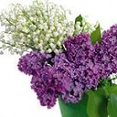 ���� ��, ���������, 59 ��� - ��������� 20 ������� 2014 � ������ ���� ����������