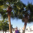  Tatiana, --, 69  -  7  2015    