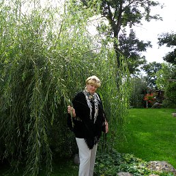 Natalia, �����, 61 ���