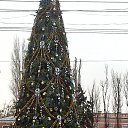 ����� 2014 �� ������� ���� ����������