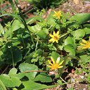  , , 60  -  13  2015      11.04.15.